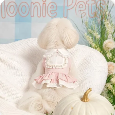 Pearl lace double-layer cake dress, small body dog spring and summer breathable dress, popular sweet pet clothing Pearl lace double-layer cake dress, small body dog spring and summer breathable dress, popular sweet pet clothing